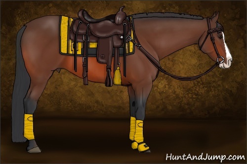 Horse Color:Bay Splash