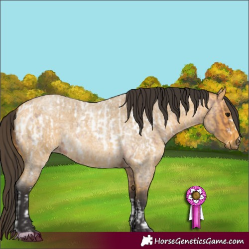 Horse Color:Bay Roan Sabino Near Leopard and Buckskin Roan