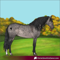 Horse Color:Platinum Brown Dun Sabino 