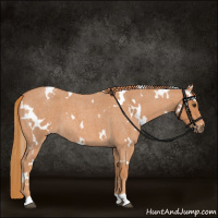 Horse Color:White Spotted Red Roan 