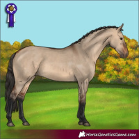 Horse Color:Bay Dun 