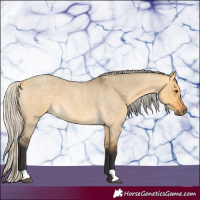 Horse Color:Silver Buckskin Roan Dun 