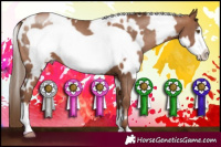 Horse Color:White Spotted Brown Pearl Frame 