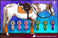 Horse Color:White Spotted Brown Pearl Frame 