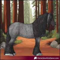 Horse Color:Smoky Blue Roan