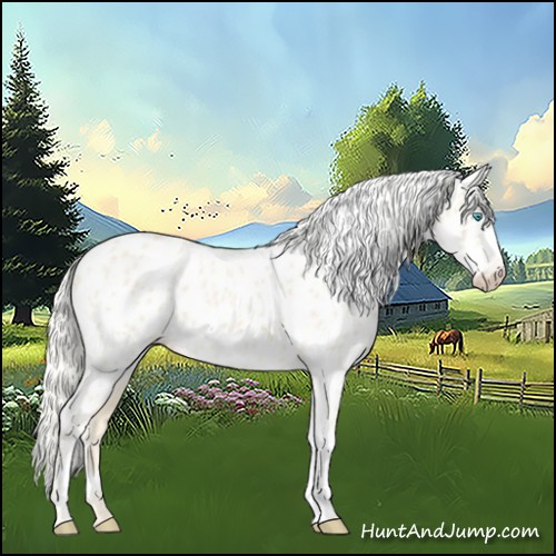 Horse Color:Cremello Near Leopard
