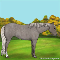 Horse Color:Silver Smoky Blue Roan Sabino 