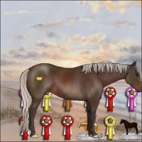 Horse Color:Silver Brown 