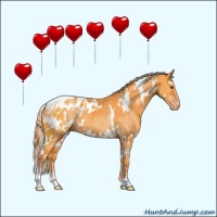 Horse Color:Watercolor White Spotted Chocolate Palomino Sabino Blanket 