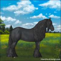 Horse Color:Black 