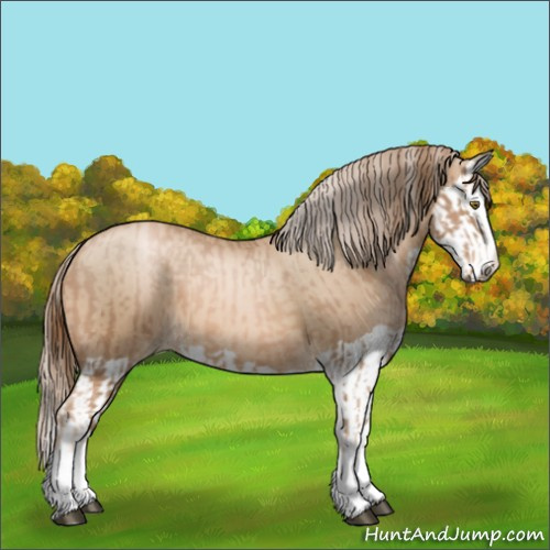 Horse Color:Liver Chestnut Pearl Splash and Chocolate Palomino Pearl Splash
