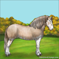 Horse Color:Liver Chestnut Pearl Splash  and Chocolate Palomino Pearl Splash 