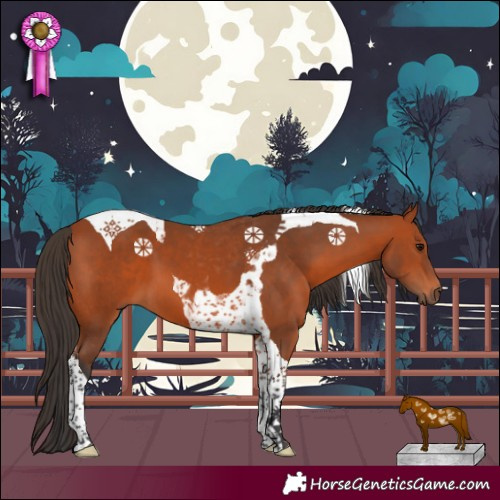 Horse Color:Bay Tobiano
