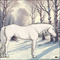 Horse Color:Cremello Dun Sabino Appaloosa