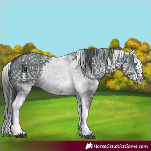 Horse Color:White Spotted Grullo Splash 