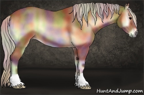 Horse Color:Nacre Silver Bay Roan Onyx