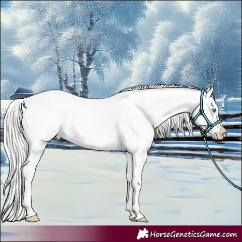 Horse Color:Silver Perlino Roan Dun 