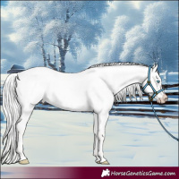 Horse Color:Silver Perlino Roan Dun 