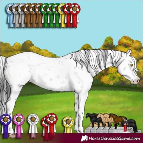 Horse Color:White Spotted Brown Dun Sabino 