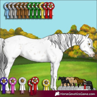Horse Color:White Spotted Brown Dun Sabino 