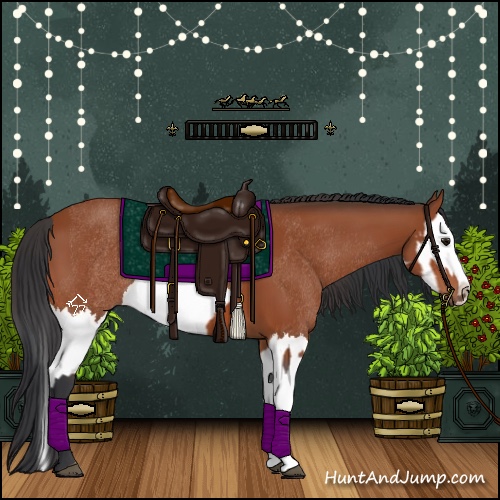 Horse Color:Bay Sabino Rabicano  and Bay Sabino Splash Rabicano 