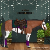 Horse Color:Bay Sabino Rabicano and Bay Sabino Splash Rabicano
