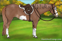Horse Color:Red Roan Splash Frame