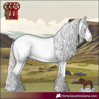 Horse Color:Chocolate Silver Buckskin Dun Sabino Appaloosa 