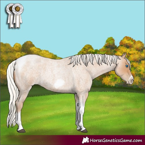 Horse Color:Silver Blue Roan Pearl Tobiano Frame 