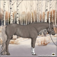 Horse Color:Silver Black Rabicano