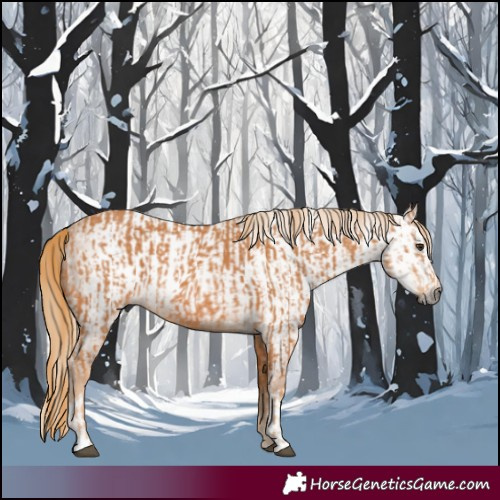 Horse Color:Chestnut and Gray Chestnut