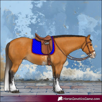 Horse Color:Buckskin Sabino Rabicano and Buckskin Sabino Splash Rabicano