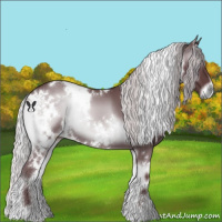 Horse Color:White Spotted Chocolate Silver Blue Onyx Chinchilla 