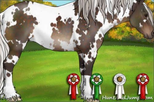Horse Color:White Spotted Silver Brown