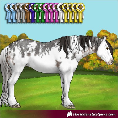 Horse Color:White Spotted Liver Chestnut Sabino Splash 