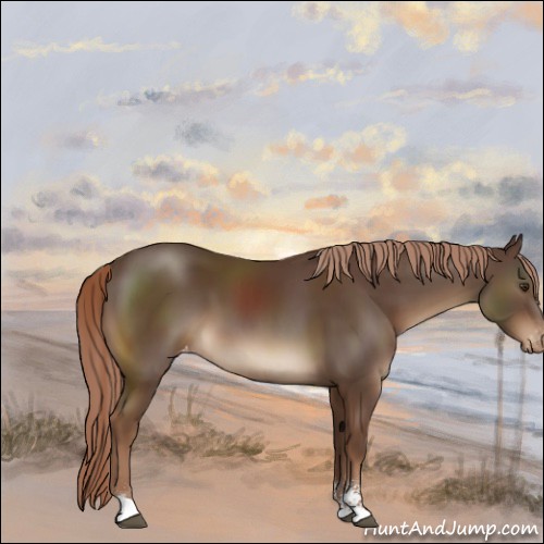Horse Color:Liver Chestnut Sabino Appaloosa 