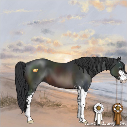 Horse Color:Brown Sabino