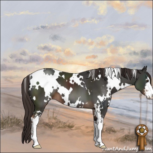 Horse Color:White Spotted Liver Chestnut Sabino 