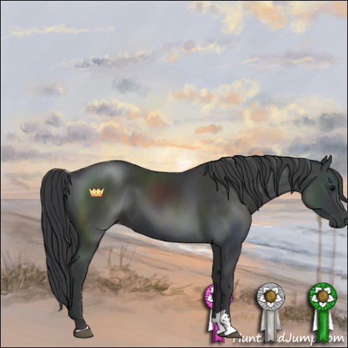 Horse Color:Black Sabino 