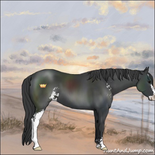 Horse Color:Black Sabino 