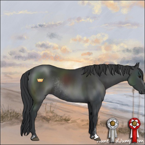 Horse Color:Black Sabino Rabicano 