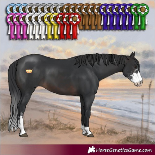Horse Color:Brown Sabino 