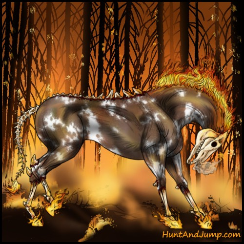 Horse Color:White Spotted Liver Chestnut 