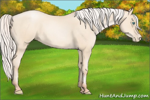 Horse Color:Silver Amber Cream Champagne Pearl 