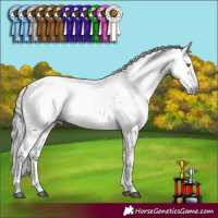Horse Color:Gray Buckskin Dun Sabino Varnish 
