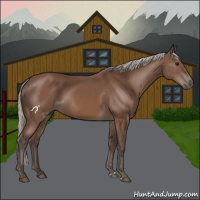 Horse Color:Silver Black