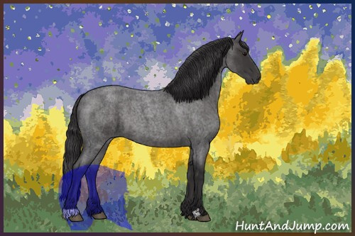 Horse Color:Smoky Blue Roan 