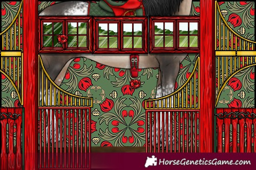 Horse Color:White Spotted Bay Dun 