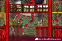 Horse Color:White Spotted Bay Dun 