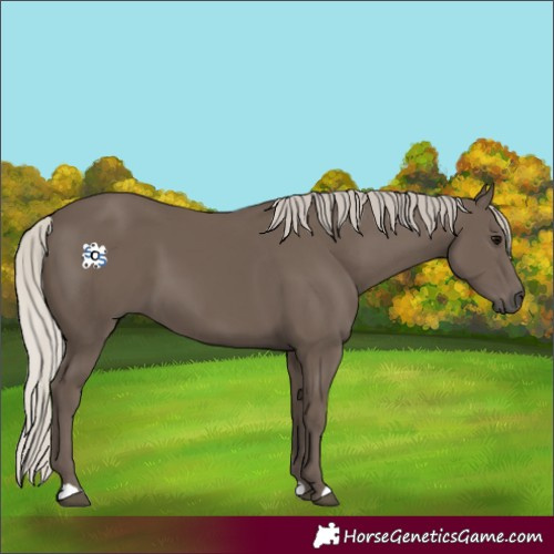 Horse Color:Silver Black 